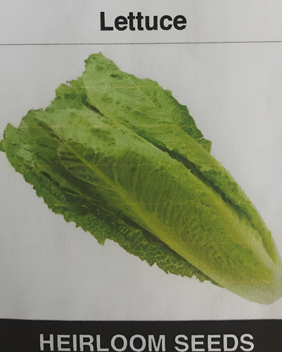 Heirloom seeds Lettuce 200seeds