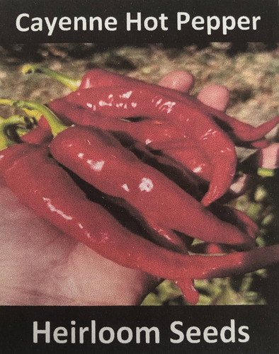Heirloom seeds Cayenne Hot pepper 3Oseeds