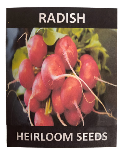 Heirloom Seeds Radish 200 seeds