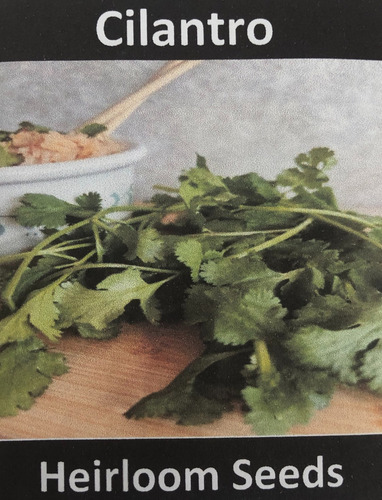 Heirloom Seeds Cilantro 100seeds