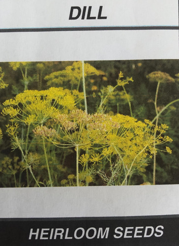 Heirloom seeds Dill 300seeds