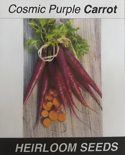 [HSPURCOT600] Heirloom seeds Cosmic Purple Carrot 600seeds